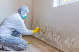 Best Environmental Consulting for Mold Prevention  in Briarcliff Manor, NY